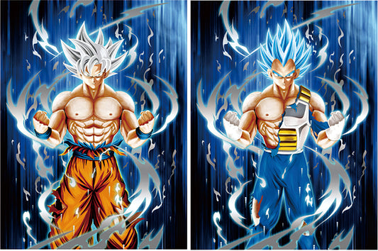 Goku and Vegeta 3D Lenticular Poster